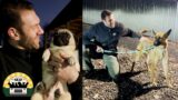 Rescue night! The amount of “designer dogs” in the shelters is overwhelming | The Asher House