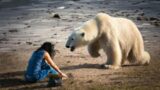 She Was Warned Not To Meet The Polar Bear She Raised, Just See What It Did Next!
