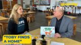 Show and Tell with Tony: Children's book 'Toby Finds a Home'