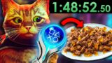 Speedrun Stray's Platinum, Or Else I Eat CAT FOOD…