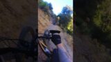 That was too close for comfort…. #closecall