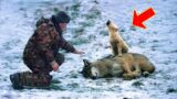 The wolf cub cried and begged the man to save his mother, what happened next was unbelievable