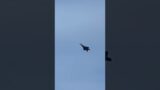 USAF F-22 Raptor Demo High Alpha Pass. 2024 Fleet Week, San Francisco.