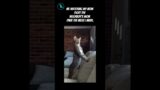 WATCH This Adorable Cat Take Over the Neighborhood