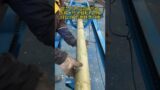 1 big bamboo can be broken into 16 pieces in seconds. Look at it, it's that simple and crude! bamboo