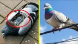 10 Ways You Could Be Getting Spied On