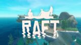 200 DAYS OF RAFT Part 3
