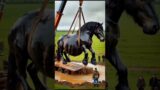 A black horse in a hole coming to the rescue team #help #horse #otlar #animals #trending