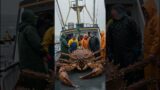 A huge sea monster resembling a king crab#shortsvideo #strange animals