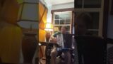 Accordion Fantasia Waltz
