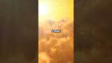 Against All Odds: My Epic Fight for Survival!
