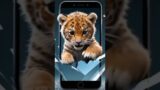 Ai animal #cutcub #animal fusion #baby animal