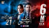 Aye Ishq e Junoon Episode 21 | Ushna Shah | Sheheryar Munawar | 20 Jan 2025 (Eng Sub) | ARY Digital