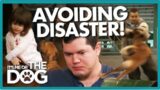 Can Victoria Stop Aggressive Dog Attacking Family Members? | It's Me or The Dog