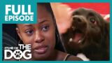 Daughter's Obsession with Stray Dogs has to STOP! | Full Episode USA