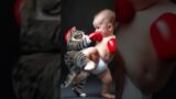 Diaper Chronicles – Cat vs. Tiny Troublemaker