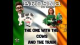 Discover The Magic Of An Irish Farm And Ride The Amazing Lartigue Monorail!