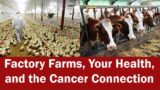Factory Farms, Your Health, and the Cancer Connection | Iowa City Public Library