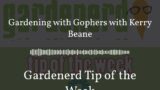Gardenerd Tip of the Week – Gardening with Gophers with Kerry Beane
