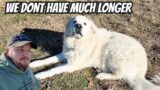 Guard Dog And I Both Know The Time Is Coming
