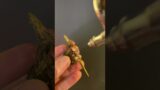 Hive Fleet Kraken Termagants SLAPCHOP Tutorial