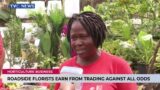 Horticulture Business | Roadside Florists Earn From Trading Against All Odds