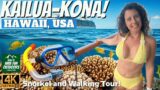Kona, Hawaii | Big Island's best Snorkeling, Coffee and Beach Town