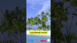 Lakshadweep 'one hundred thousand islands’ #shorts #viral #trending #lakshdweep #island #beaches