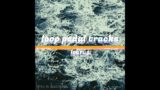 Loop Pedal Tracks – Icarus – An Original By Echo Located