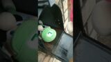 Luigi mail time