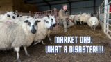 MARKET DAY!! DEFINITELY MAKING A LOSS!!!