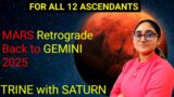 MARS Retrograde back into GEMINI 2025 | For All 12 ASCENDANTS | 21st Jan 2025 – 24th FEB 2025