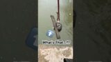 Magnet Fishing Saves History Against All Odds! #magnetfishing #magnetfishingenthusiasts #shorts #fyp