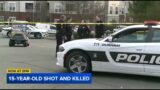 Neighbors remember 15-year-old killed in drive-by shooting while playing in snow