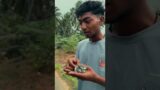 OWL RESCUSE PART -2 TAMIL \ kannyakumari #2025 #owl #humanity #rescue