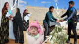 Operator assistance package to the Nemat family#deoora