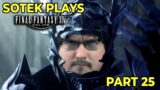 SPROUT EXPERIENCES HEAVENSWARD MAIN STORY AT LAST! FFXIV into 2025!
