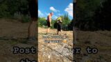 Tank to the rescue #fail #dailyvlogs #ouch #accidentscaughtoncamera #funny
