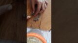 #Terracotta #earrings #jhumka#makingvideos#clayart #artlovers #handmade #india #viralshorts