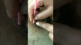 Terracotta shorts #shortvideo #shorts #youtubeshorts #terracotta #howtomaketerracottajewellery #art