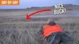 The Break We Needed! | Montana Pronghorn Day-by-Day (EP.2)