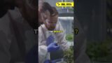 The Plant That Freezes a Smile on Your Face!