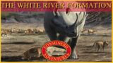 The White River Formation: A Paleo Analysis Special Presentation