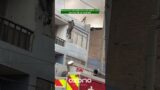 This Guy Saves the Dog #fire #heroic #dog