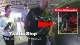 Traffic Stop Turns Into Bloody Assault (Fort Lauderdale, Florida)