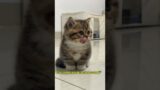 Cutest little troublemaker around!”